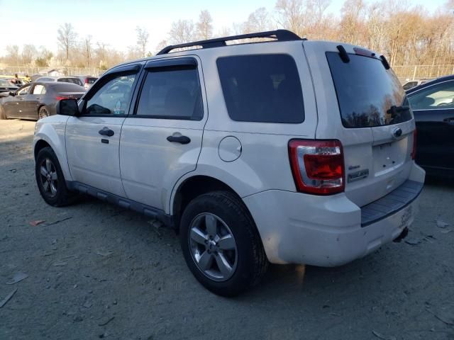 2010 Ford Escape XLT