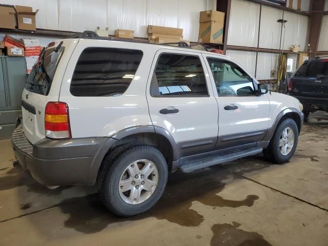 2006 Ford Escape XLT