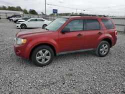 Ford Escape xlt salvage cars for sale: 2012 Ford Escape XLT