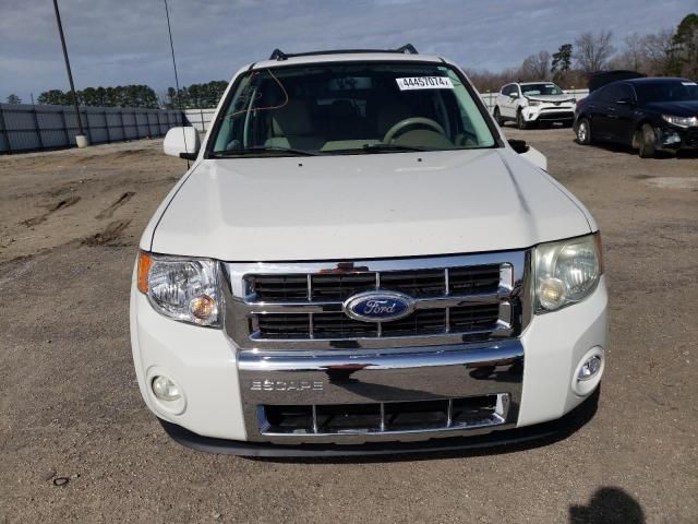 2011 Ford Escape Limited