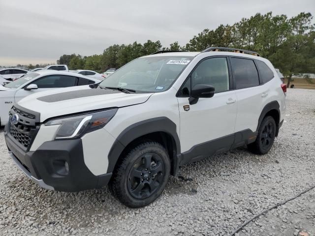 2023 Subaru Forester Wilderness