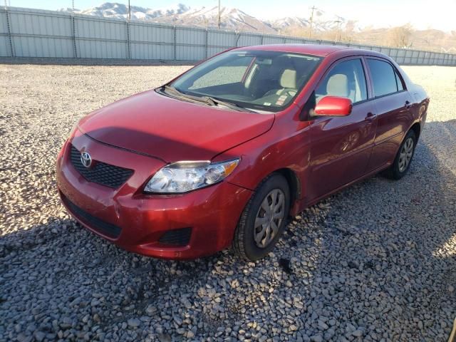 2009 Toyota Corolla Base