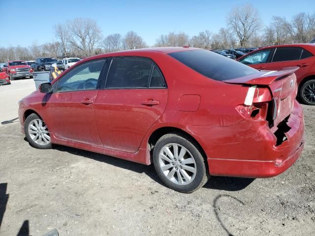 2010 Toyota Corolla Base