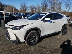 Salvage cars for sale from Copart Marlboro, NY: 2024 Lexus NX 250 Base