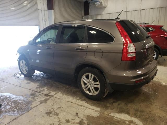 2010 Honda CR-V EXL