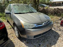 Vehiculos salvage en venta de Copart Midway, FL: 2010 Ford Focus SE