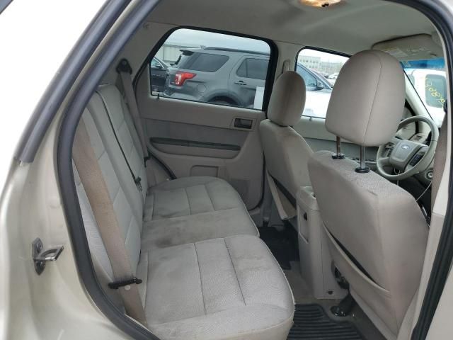 2010 Ford Escape XLT