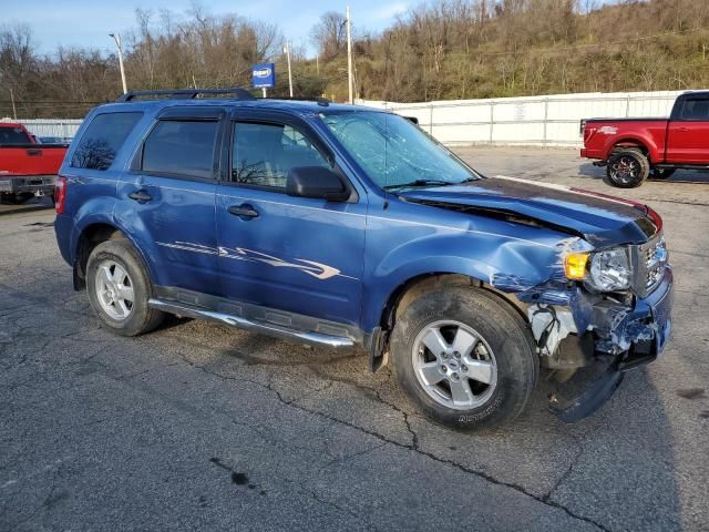 2009 Ford Escape XLT