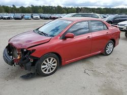 Toyota salvage cars for sale: 2010 Toyota Corolla Base