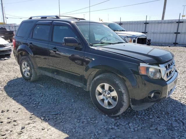 2011 Ford Escape Limited