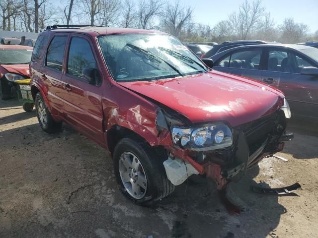 2005 Ford Escape Limited