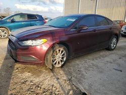 Salvage cars for sale at Lawrenceburg, KY auction: 2017 Ford Fusion SE