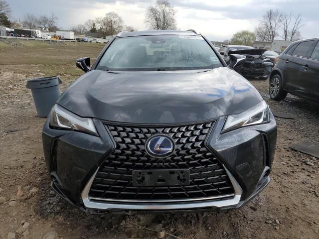 2020 Lexus UX 250H