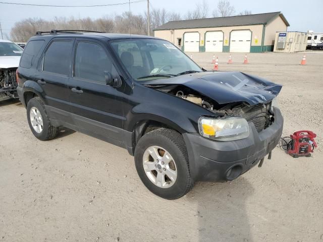 2006 Ford Escape XLT