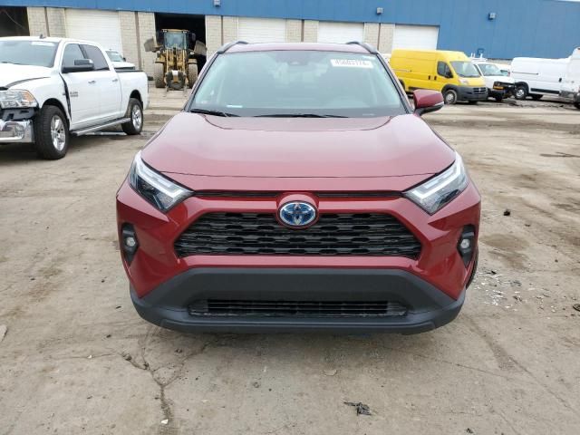 2023 Toyota Rav4 XLE Premium