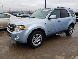 Ford Escape HEV salvage cars for sale: 2008 Ford Escape HEV