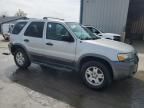 2006 Ford Escape XLT