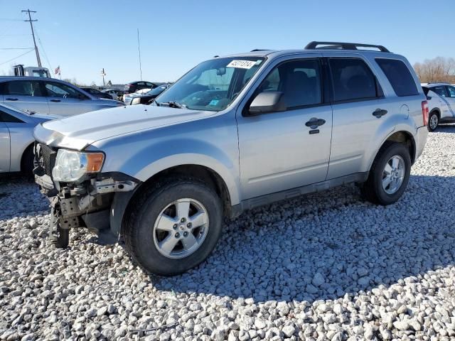 2009 Ford Escape XLT