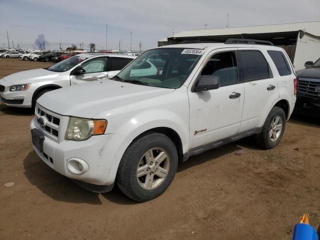 2009 Ford Escape Hybrid