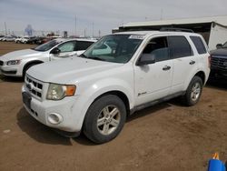 Ford salvage cars for sale: 2009 Ford Escape Hybrid