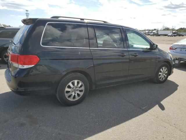 2008 Honda Odyssey EXL