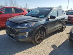 Salvage cars for sale at Bridgeton, MO auction: 2022 Ford Escape SEL