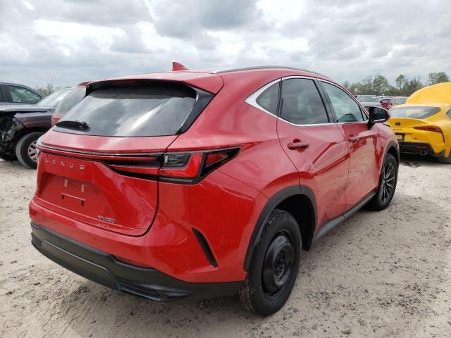 2024 Lexus NX 250 Premium