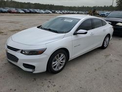 Salvage cars for sale at Harleyville, SC auction: 2016 Chevrolet Malibu LT