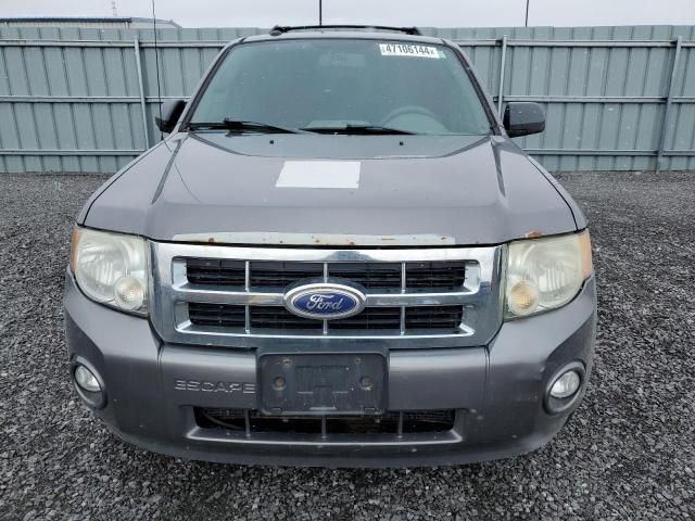 2010 Ford Escape XLT