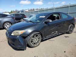 Scion TC salvage cars for sale: 2007 Scion TC