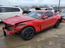 Salvage cars for sale from Copart Louisville, KY: 2009 Ford Mustang