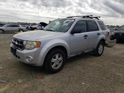 Salvage cars for sale from Copart Antelope, CA: 2010 Ford Escape XLT