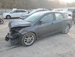 Ford Focus SE salvage cars for sale: 2017 Ford Focus SE