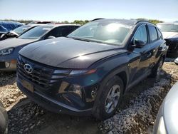 Salvage cars for sale at Grand Prairie, TX auction: 2023 Hyundai Tucson SEL