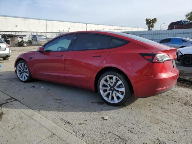 2020 Tesla Model 3