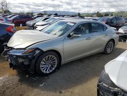 Salvage cars for sale at San Martin, CA auction: 2022 Lexus ES 300H Base