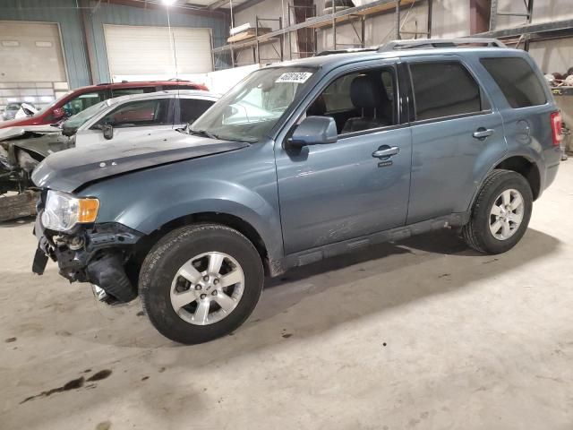 2011 Ford Escape Limited