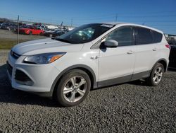 Ford salvage cars for sale: 2014 Ford Escape SE