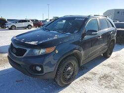 Salvage cars for sale at Nisku, AB auction: 2011 KIA Sorento Base