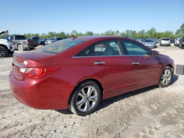 2011 Hyundai Sonata SE