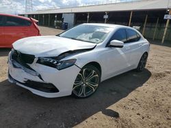 Salvage cars for sale at Phoenix, AZ auction: 2015 Acura TLX Tech