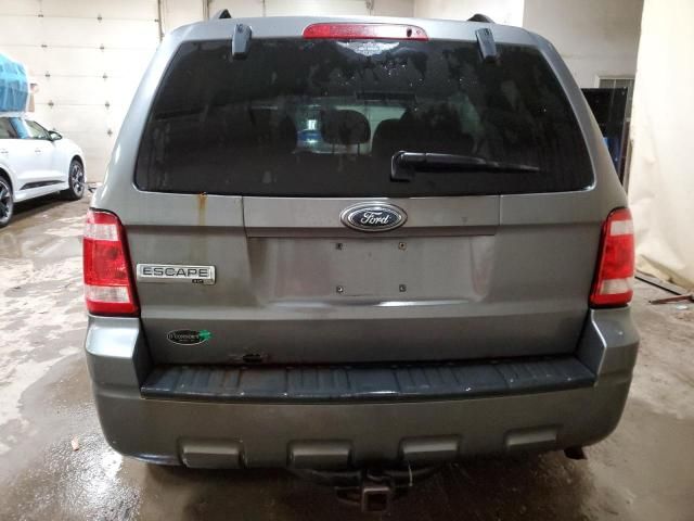 2009 Ford Escape XLT