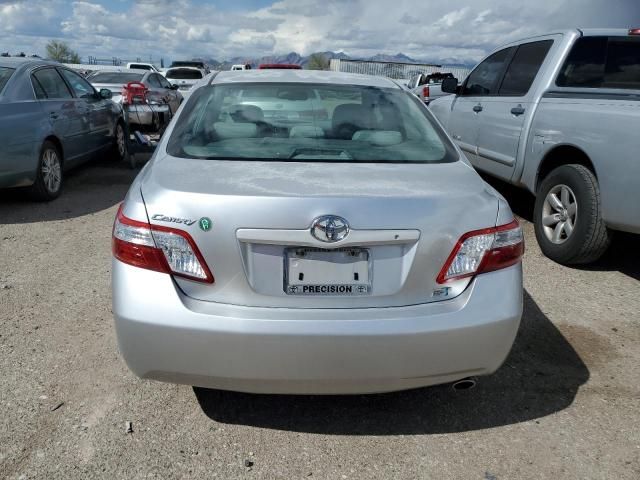 2009 Toyota Camry Hybrid