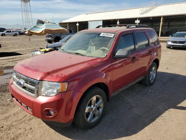 2010 Ford Escape XLT