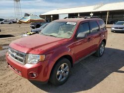 Ford Escape XLT salvage cars for sale: 2010 Ford Escape XLT