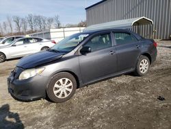 Toyota Vehiculos salvage en venta: 2009 Toyota Corolla Base