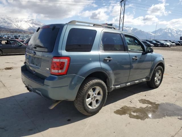 2012 Ford Escape XLT