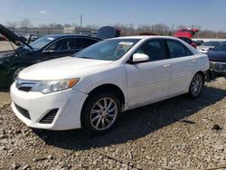 Salvage cars for sale from Copart Louisville, KY: 2013 Toyota Camry L