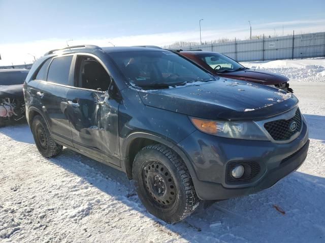 2011 KIA Sorento Base