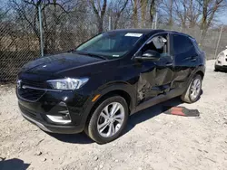 Salvage cars for sale at Cicero, IN auction: 2023 Buick Encore GX Preferred